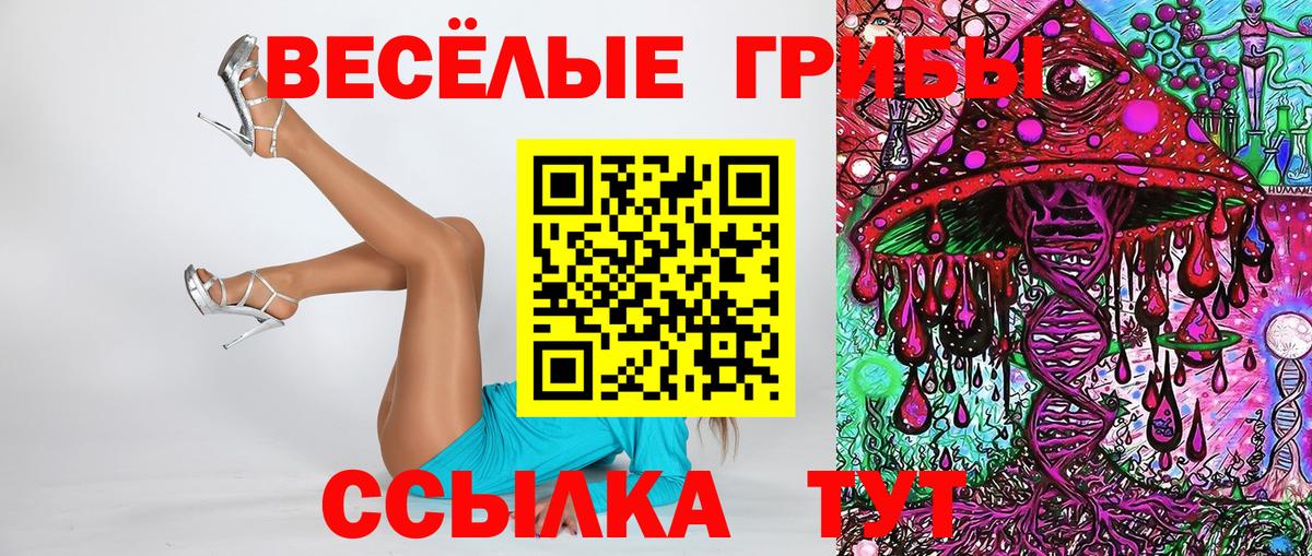 Псилоцибиновые грибы Cubensis Маркс
