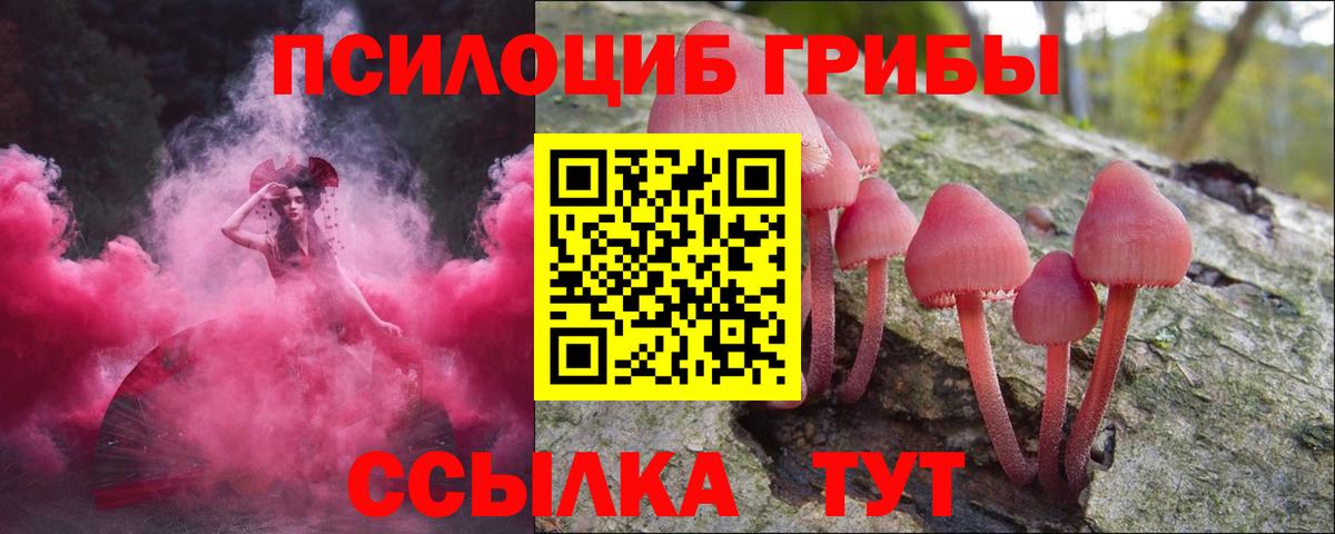 Галлюциногенные грибы Psilocybine cubensis  Вход с VPN  Маркс 